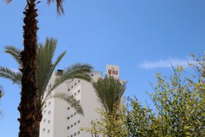 Palm and the Building at the Costa del Sol Hotel